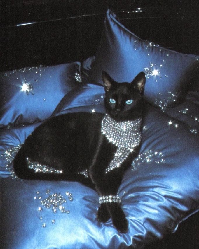 When I become rich, I won’t tell anyone, but there will be signs 💫