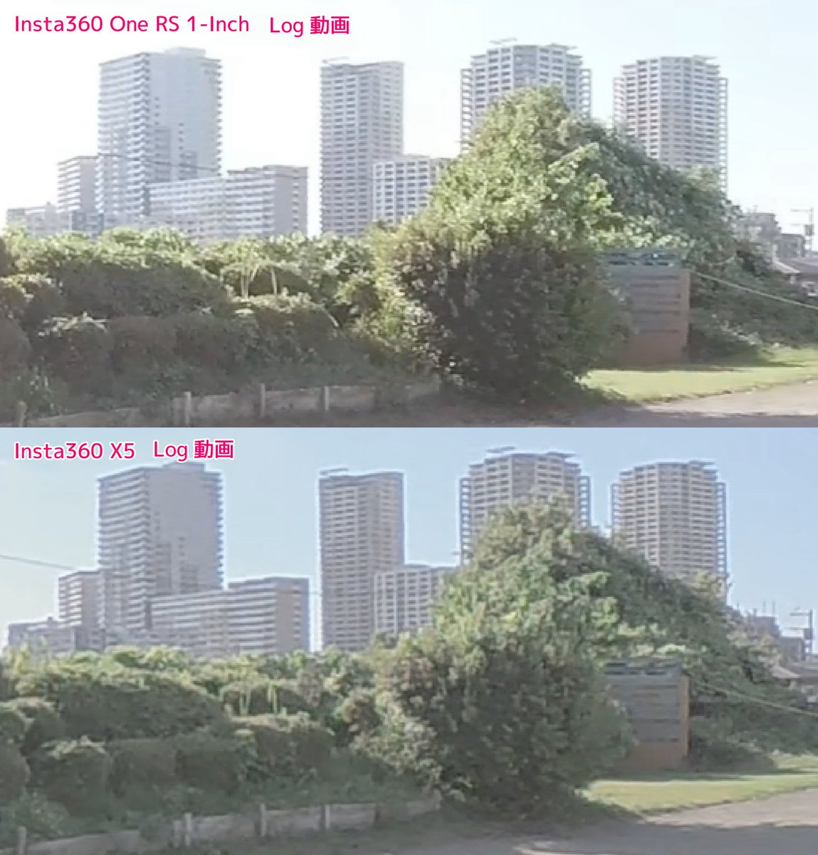 龍 lilea tweet media