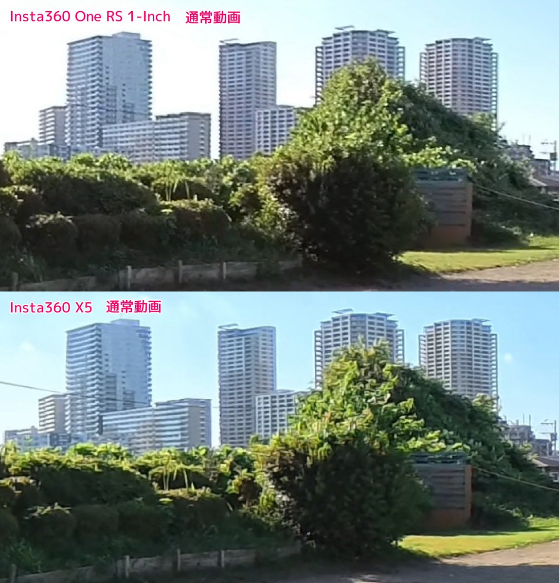 龍 lilea tweet media