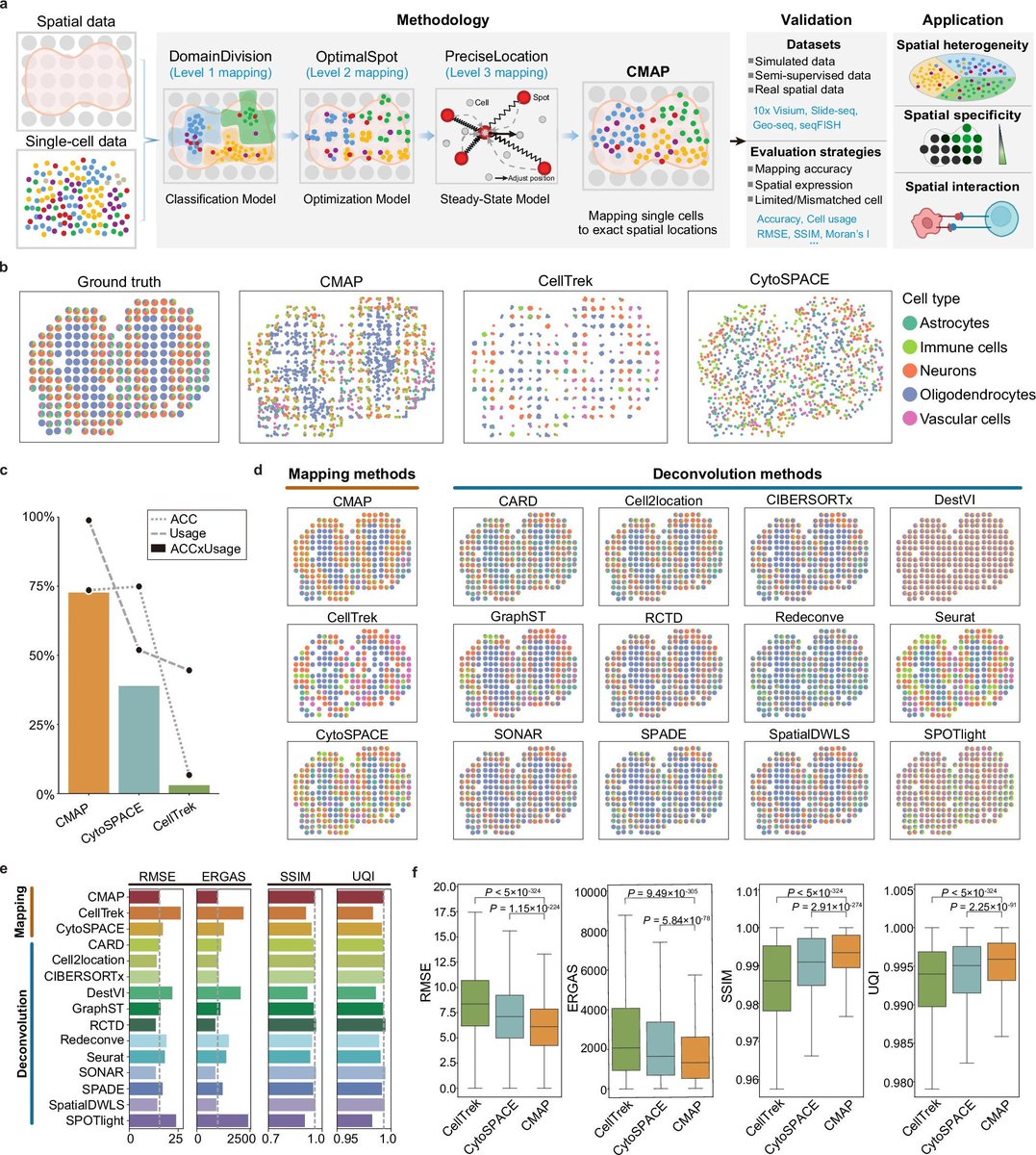 jsantoyo's tweet image. High-resolution mapping of single cells in spatial context. #SingleCell #SpatialTranscriptomics #Bioinformatics @NatureComms 
nature.com/articles/s4146…