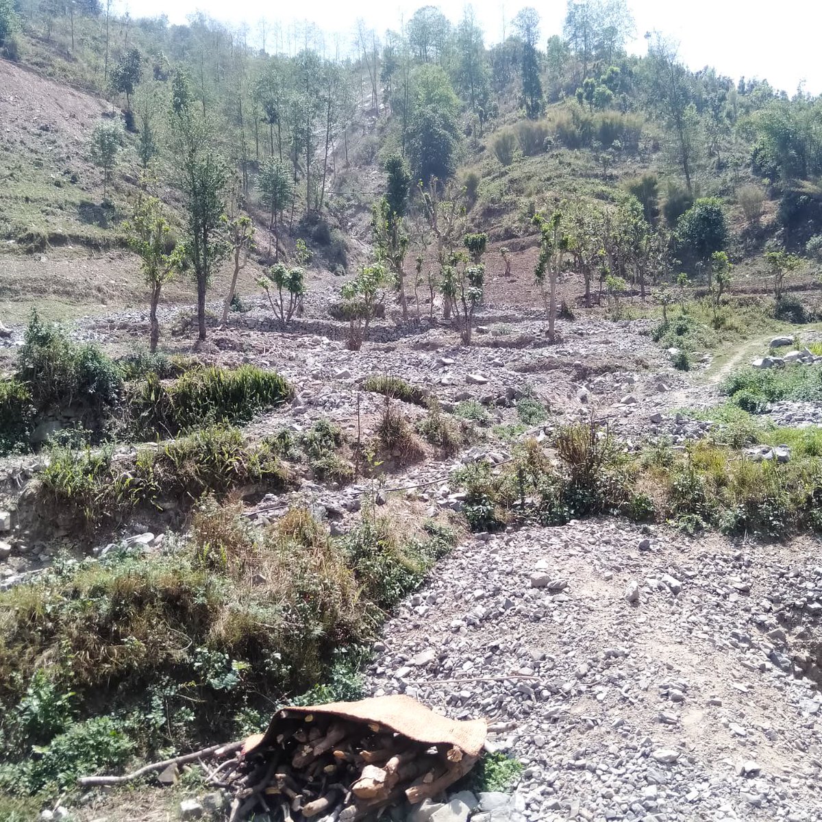 Meet Hotrika Joshi, former #UNVolunteer with #UNDPNepal, supported post-flood recovery in Roshi by engaging marginalized communities and working with local authorities to ensure inclusive, data-driven planning that leaves no one behind.