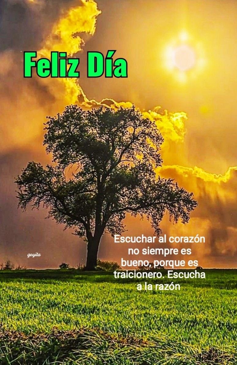 <a href="/MarthaValen2/">MarthaValen</a> <a href="/Maluprabo/">Martha Lucia Prado</a> <a href="/HarotLlanos/">GRANDE SOLO ES DIOS</a> <a href="/SharidFayad/">Sharid Fayad</a> <a href="/PedroAcunaF/">Pedro Acuña</a> <a href="/machedonia/">Margarita Martinez A</a> <a href="/claritagomezj/">Clara Char Gomez 🕎 ®</a> <a href="/VieccoLopez/">Poncho</a> <a href="/PepeCepedaV3/">Pepe Cepeda V.</a> <a href="/Ticoberna1/">Ticoberna</a> <a href="/NEPTUNO92073415/">NEPTUNO</a> <a href="/AndreaChavezTre/">Andrea Chávez</a> <a href="/MaraLezama/">Mara Lezama</a> <a href="/Maritza18607557/">Maritza White</a> <a href="/lifeisoneoption/">Pablo Honey 🇲🇫🇺🇸🇪🇸🇨🇦🇮🇹🇨🇴</a> <a href="/a_laponderosa/">Industria Arrocera 🌾🍚 🚜 🚚 🇨🇴 La Ponderosa</a> <a href="/EscolarLaflaca/">☀Stephie ☀</a> <a href="/TitinaLC/">Titina 🌻</a> <a href="/Flormita2/">Canela</a> <a href="/margui35/">Lina Restrepo Solano</a> Muy buenos días , que mi Dios Todopoderoso los bendiga hoy Jueves 31 de Julio de 2025, día de 
San Ignacio de Loyola