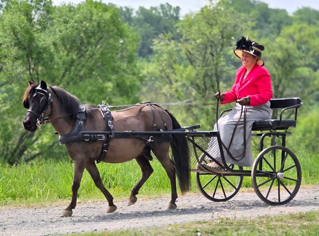“I was blown away at how quickly my asthmatic pony, Muggles, responded to AirWise. After trying other products with him, even an inhaler, I’m a believer in this product!”—Jamie Guiberson

For more information on AirWise, click here: loom.ly/2Iivj7g