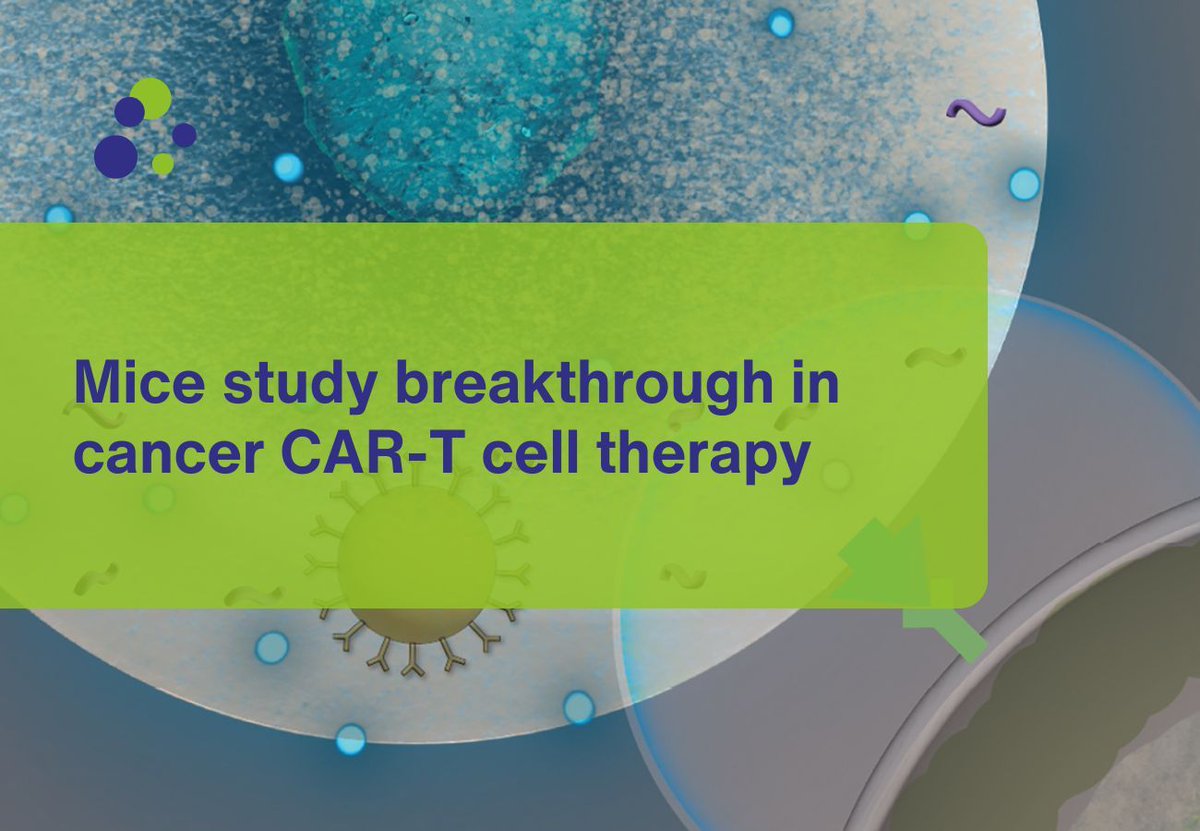 EARA (@the_eara) on Twitter photo Researchers <a href="/StanfordMed/">Stanford Medicine</a> have been able to safely generate CAR-T cells within the body of mice, possibly solving major limitations of this therapy, which revolutionised the treatment of many blood cancers.
Learn more: eara.eu/post/mice-stud…
#CARTcell #cancer #leukeamia Researchers <a href="/StanfordMed/">Stanford Medicine</a> have been able to safely generate CAR-T cells within the body of mice, possibly solving major limitations of this therapy, which revolutionised the treatment of many blood cancers.
Learn more: eara.eu/post/mice-stud…
#CARTcell #cancer #leukeamia