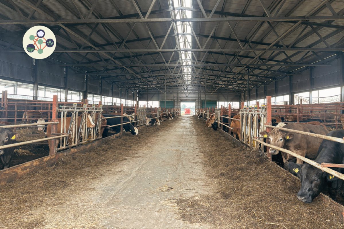 OrgClimateNET's tweet image. 🌿 Day 2 of #OrganicClimateNET in Latvia! We visited SIA TRUDO, where farm ambassador Jāņis Šļaukstiņš showed us his full-cycle organic farm: 440 ha, 145 cows, on-farm composting &amp;amp; their own shop, processing &amp;amp; slaughterhouse. A true field-to-fork model!

 organicclimatenet.eu