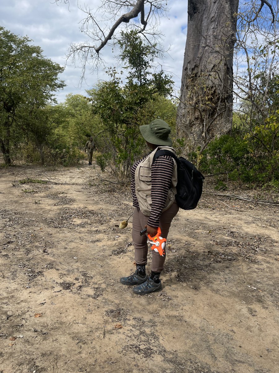 GloryMuva's tweet photo. Always excited 2 conduct scientific #research &amp; share the results &amp; lessons learnt broadly. Whether it’s biodiversity, climate change, energy, or water needs, the challenges we face are complex. It’s our duty to make the best scientific knowledge accessible actionable. https://t.co/stdB5PKeOu