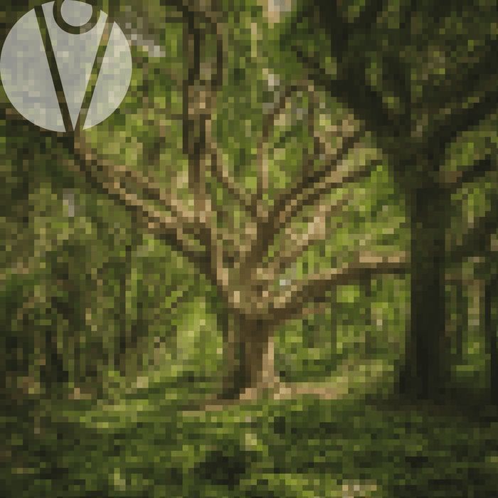 gameresources's tweet image. Nature&apos;s Whisper Complete Music Pack 🌲

Inspired by whimsy, mysticism, and retro gaming, the Forest Pack blends ambient and melodic themes perfect for fantasy, exploration, and mysterious environments.

gamedevmarket.net/asset/forest-n…
indiegamesoundtrack #musicdevelopment #gamingmusic…