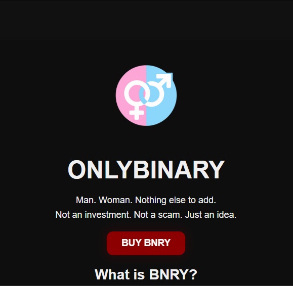 BNRYcoin's tweet photo. 🔄 We’ve updated our website with the BNRY logo — a clear and simple symbol:

👩‍🦰♀️ + ♂️👨‍🦱
No confusion. No noise.
Just clarity — just the idea that started it all.
🖥️ https://t.co/JL9rIY1ggP
#BNRY #OnlyBinary #MemeCoin #TradValues #Crypto https://t.co/OZRbcYpfug