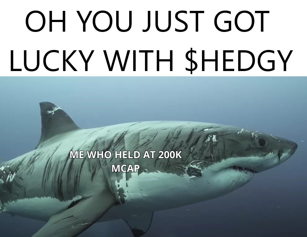 Tovar1sh (@tovar1sh1) on Twitter photo Shout out to everybody who held on to their $HEDGY when it was at and under 200k mcap <a href="/hedgycoin/">$HEDGY on $S</a> Shout out to everybody who held on to their $HEDGY when it was at and under 200k mcap <a href="/hedgycoin/">$HEDGY on $S</a>