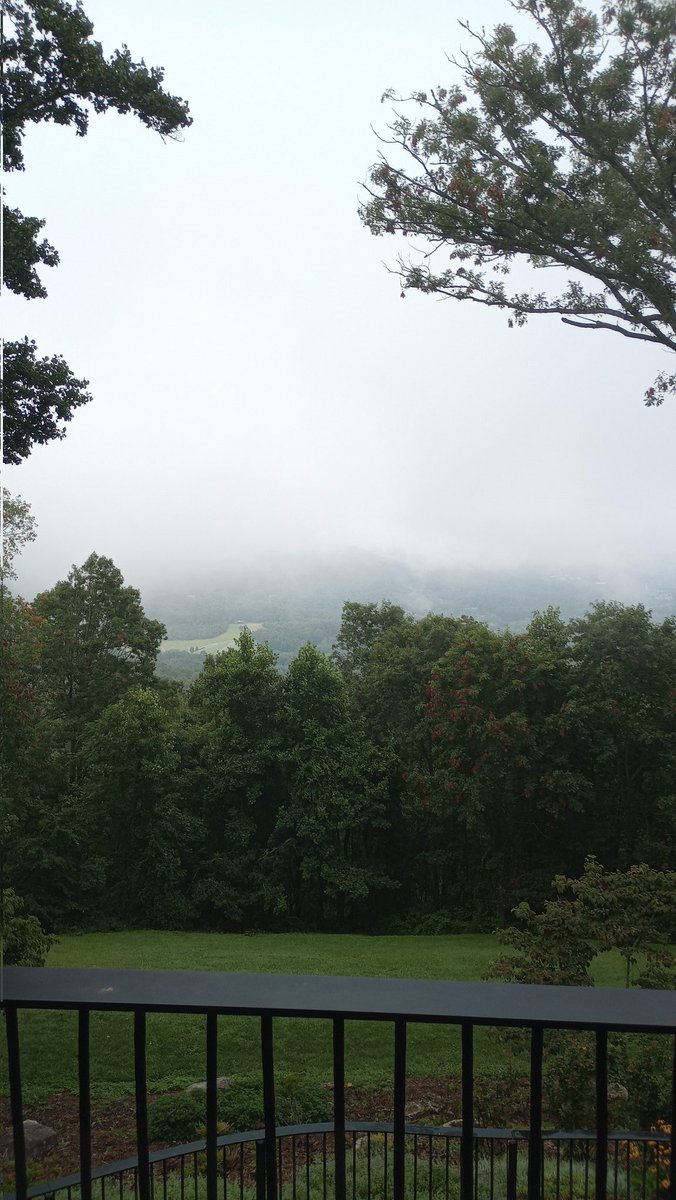 Foggy in the higher elevations today, im at 3,070 ft 🌫️🌫️🇺🇸💯❤️✝️