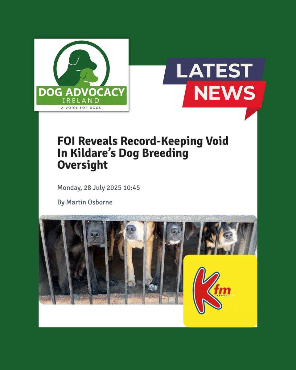 Dog Advocacy Ireland (@advocacydog) on Twitter photo 🚨 DOG LEGISLATION IS NOT BEING PROPERLY ENFORCED IN IRELAND 🚨
A shocking admission from @kildarecountycouncil, in a recent article written by Martin Osborne with KFM. 
kfmradio.com/news/localnews… 🚨 DOG LEGISLATION IS NOT BEING PROPERLY ENFORCED IN IRELAND 🚨
A shocking admission from @kildarecountycouncil, in a recent article written by Martin Osborne with KFM. 
kfmradio.com/news/localnews…