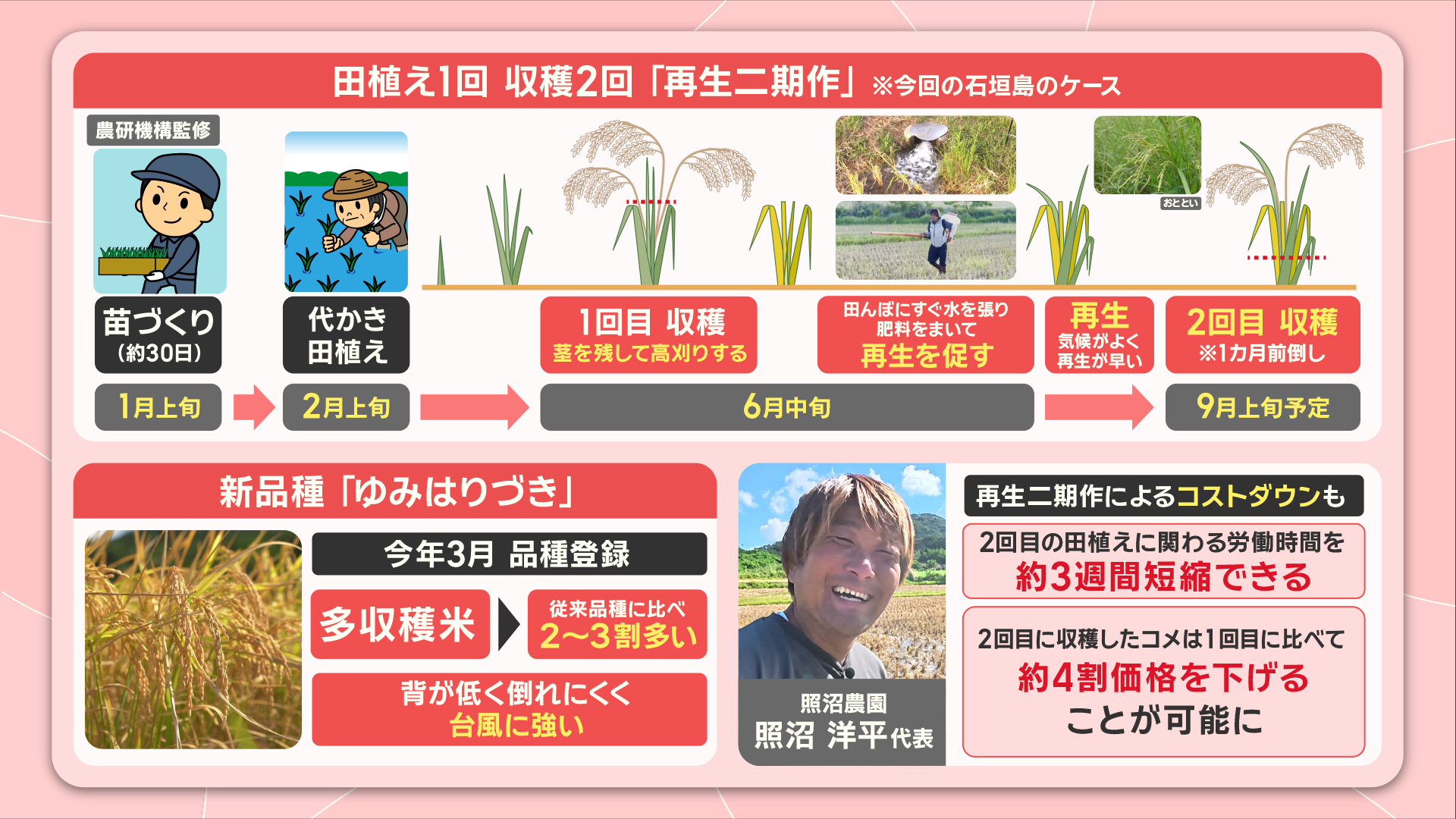 六一/農耕之図/田植えより収穫まで/掛軸/名家伝来/AA-146 六一/農耕之図/田植えより収穫まで/掛軸/名家伝来/AA-146 美術品・