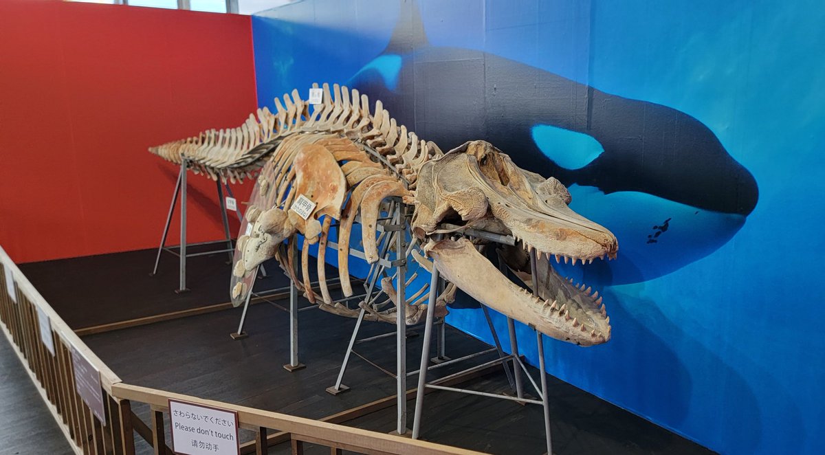 Summer vacationな方も、そうでない方もお待たせいたしました！ ついに