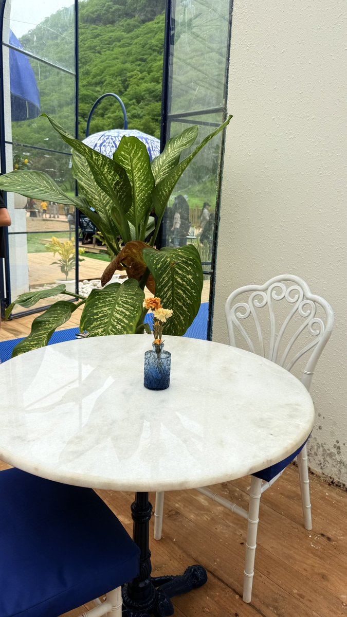 🌴🌴🫧🍃🏝️🤍☕️🌧️