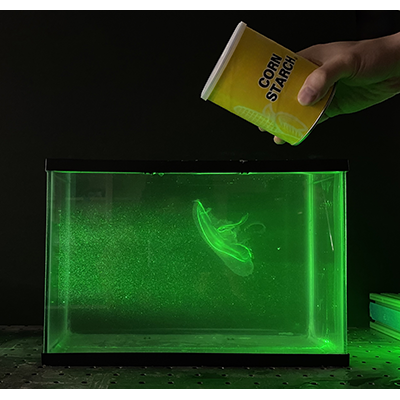 Physical Review Fluids tweet media