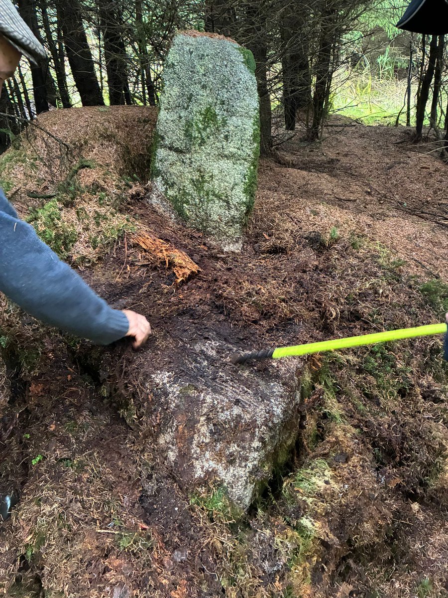 WicklowUplands's tweet photo. 🟡 #StKevinsWay #TrailMaintenance — fresh signage, repainted waymarks, careful overgrowth clearing (no hedges harmed!). Huge thanks to volunteers + the committee 🙌 This underused trail has much to offer.  Walk it. Learn it. Honour it.  #WicklowWalks #PilgrimPath https://t.co/TH71pnVCX3