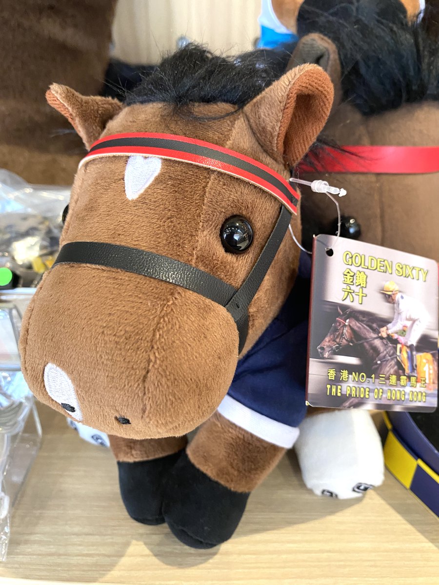 AVANTI Sサイズ インディジェナス 香港年度代表馬 AVANTI Sサイズ インディジェナス 香港年度代表馬 AVANTI S