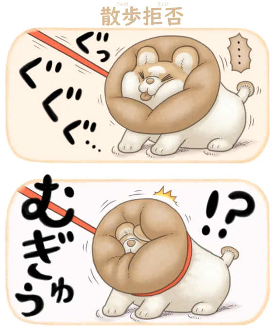 キノコーギーちゃん 散歩拒否
https://t.co/GyvKNubwtD 
