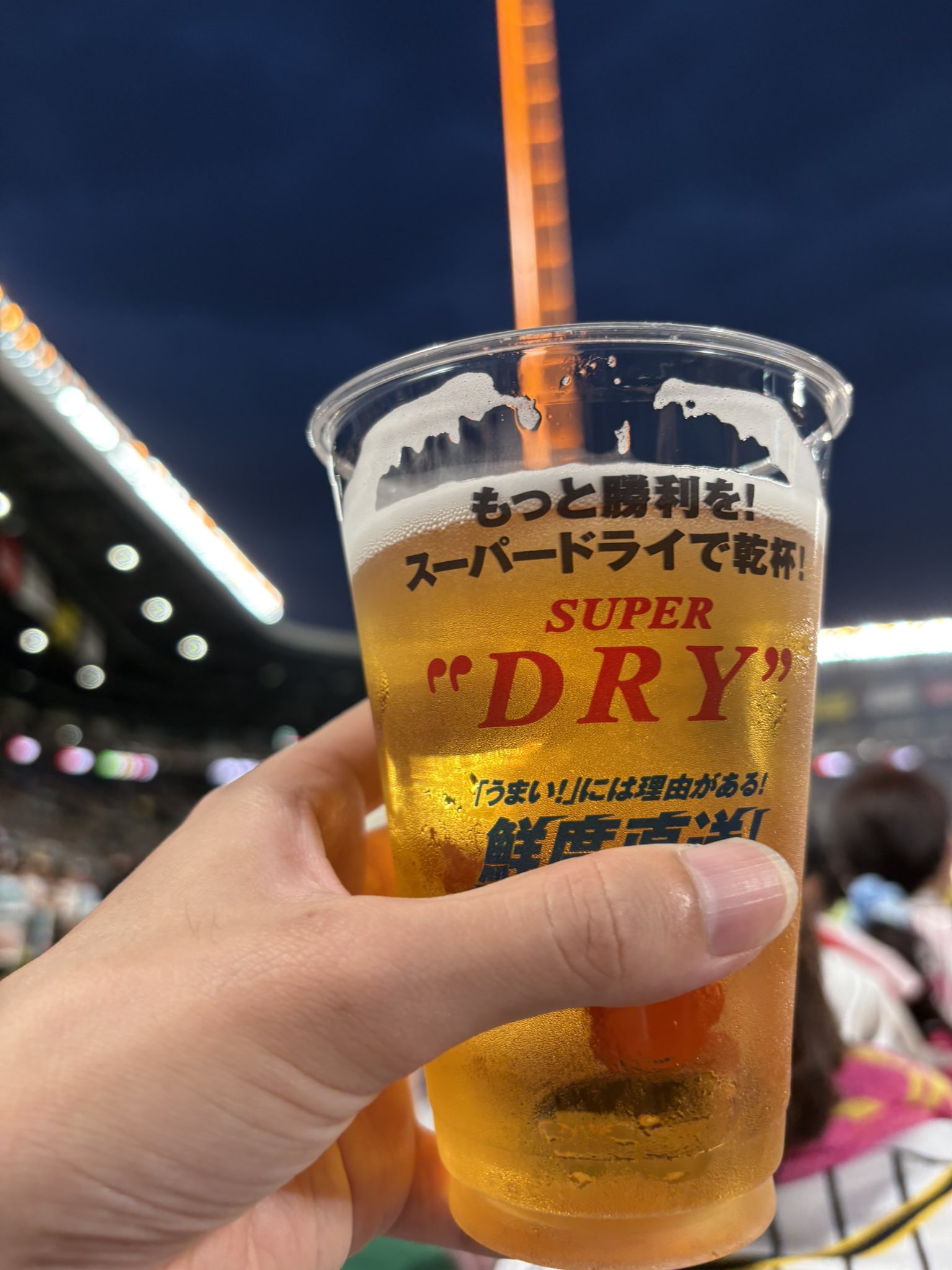 ショコラ(猛暑の為多肉販売停止中★バードトイ⚪︎バードアスレチック ハーツ チューデント for Cat カツオ風味 ( 8枚入 )/ Hartz