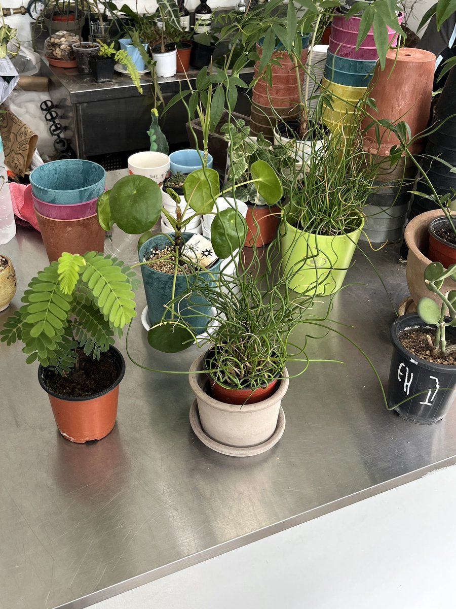 더운 여름. . 효율성과 초록감성 다 잡은
대전 당일치기 타래 🥭☀️🌳