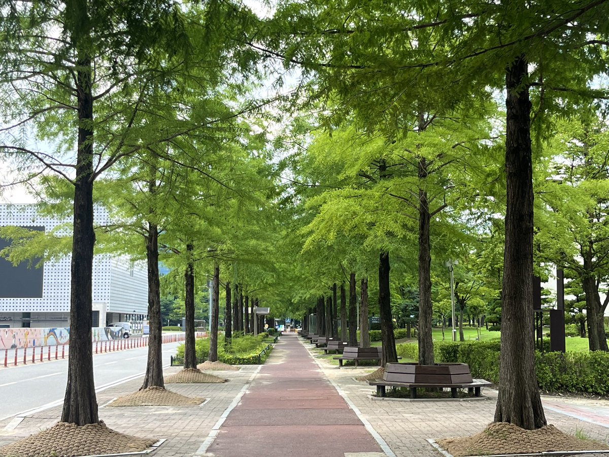 punchricee's tweet photo. 더운 여름. . 효율성과 초록감성 다 잡은
대전 당일치기 타래 🥭☀️🌳 https://t.co/xwgWA1SWQU