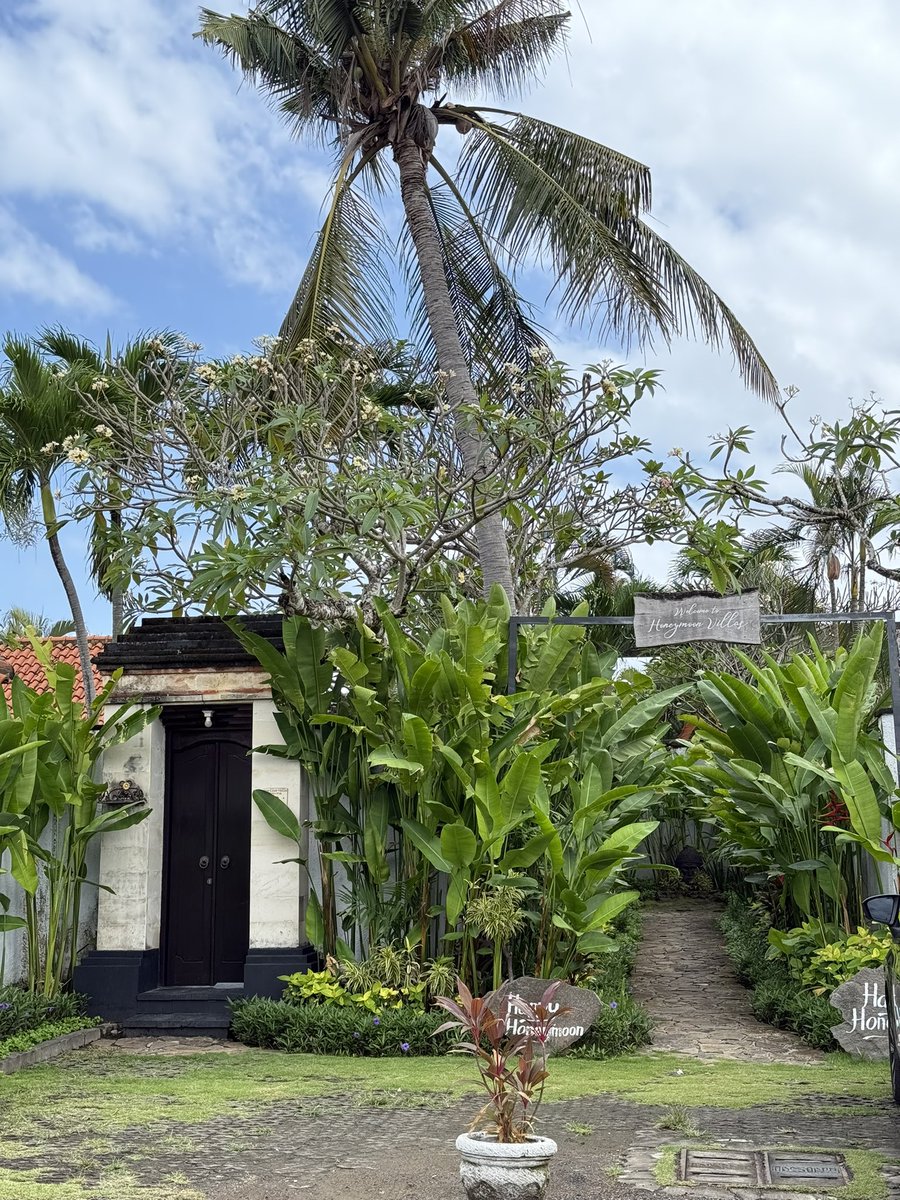 lelly 🫧 tweet media