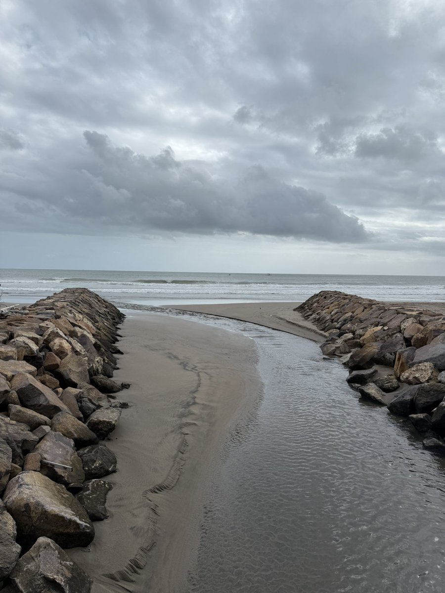 lelly 🫧 tweet media