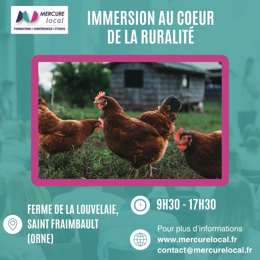 𝙉𝙤𝙪𝙫𝙚𝙡𝙡𝙚 𝙛𝙤𝙧𝙢𝙖𝙩𝙞𝙤𝙣 𝙘𝙝𝙚𝙯 𝙈𝙚𝙧𝙘𝙪𝙧𝙚 𝙡𝙤𝙘𝙖𝙡 !
𝘐𝘮𝘮𝘦𝘳𝘴𝘪𝘰𝘯 𝘢𝘶 𝘤𝘰𝘦𝘶𝘳 𝘥𝘦 𝘭𝘢 𝘳𝘶𝘳𝘢𝘭𝘪𝘵𝘦́
Journée à la ferme pour les collaborateurs d'entreprises
Avec Alain Delangle et Eloïse de Santerre
Inscription : docs.google.com/forms/d/e/1FAI…