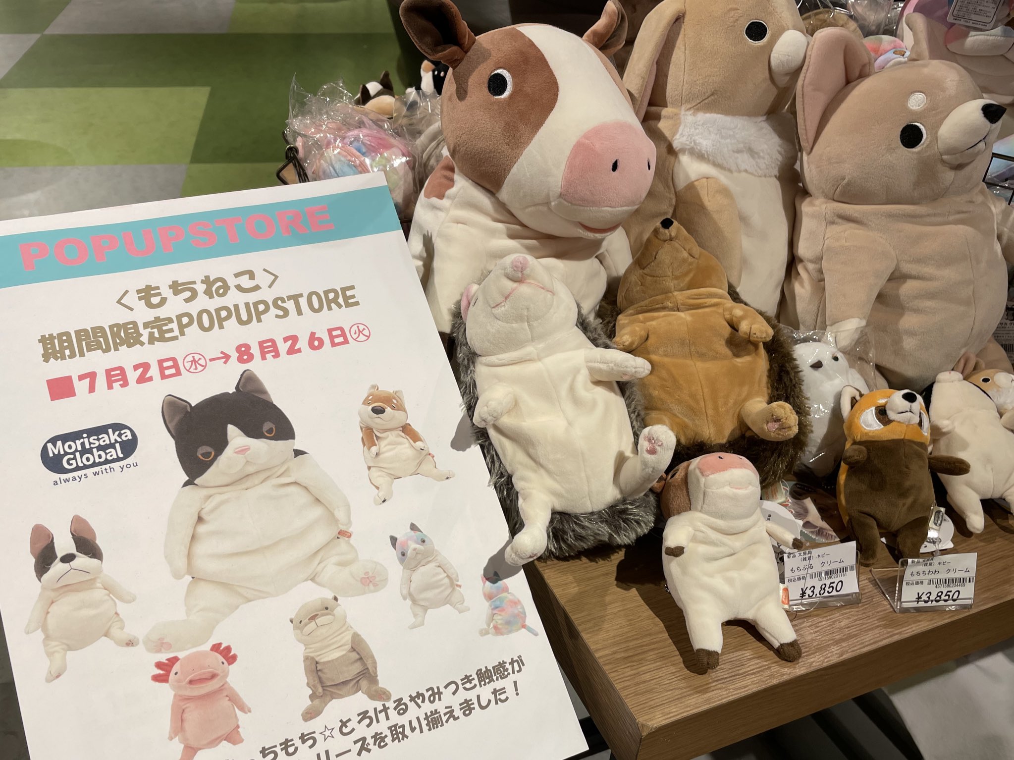 TSUTAYA BOOKSTORE 名鉄名古屋 on X: 