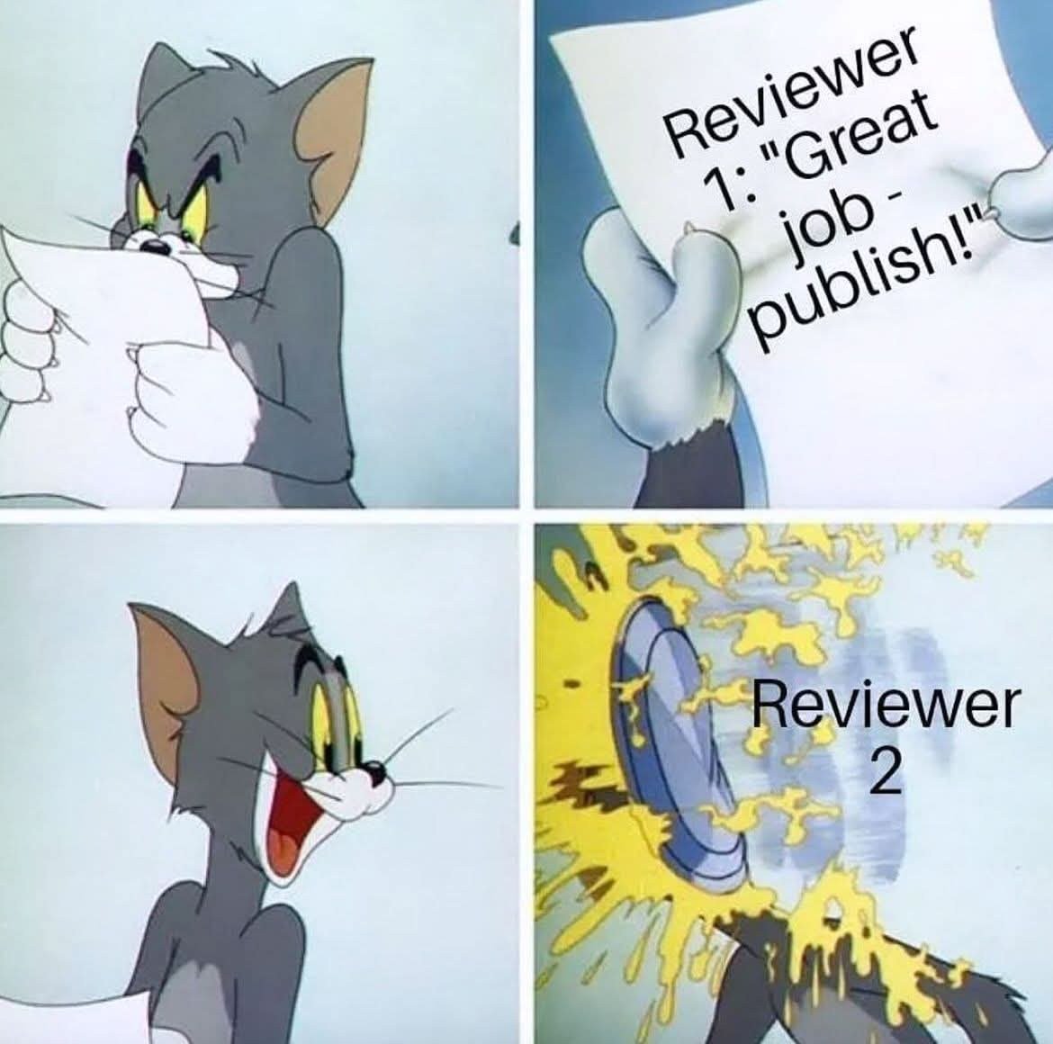 Scholarship for PhD tweet media