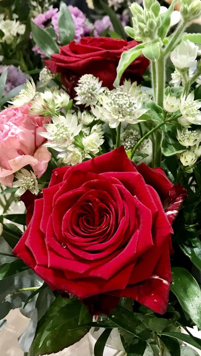 It's time to thank you, dear July ♥️🌿

📸 31.7.25 me
