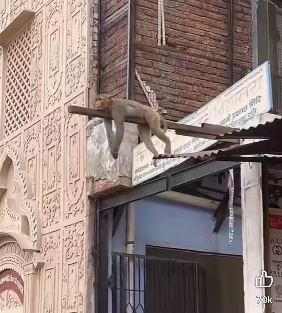 🤣🤣🤣9 مئی فیصلے دیکھنے کے بعد میڈ بانی پی ٹی آئی کی صورتحال