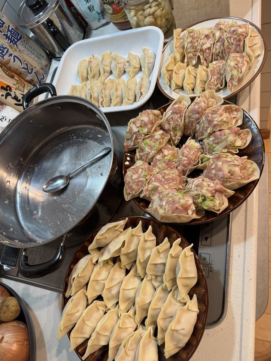 餃子の皮と餡がピッタリだった！