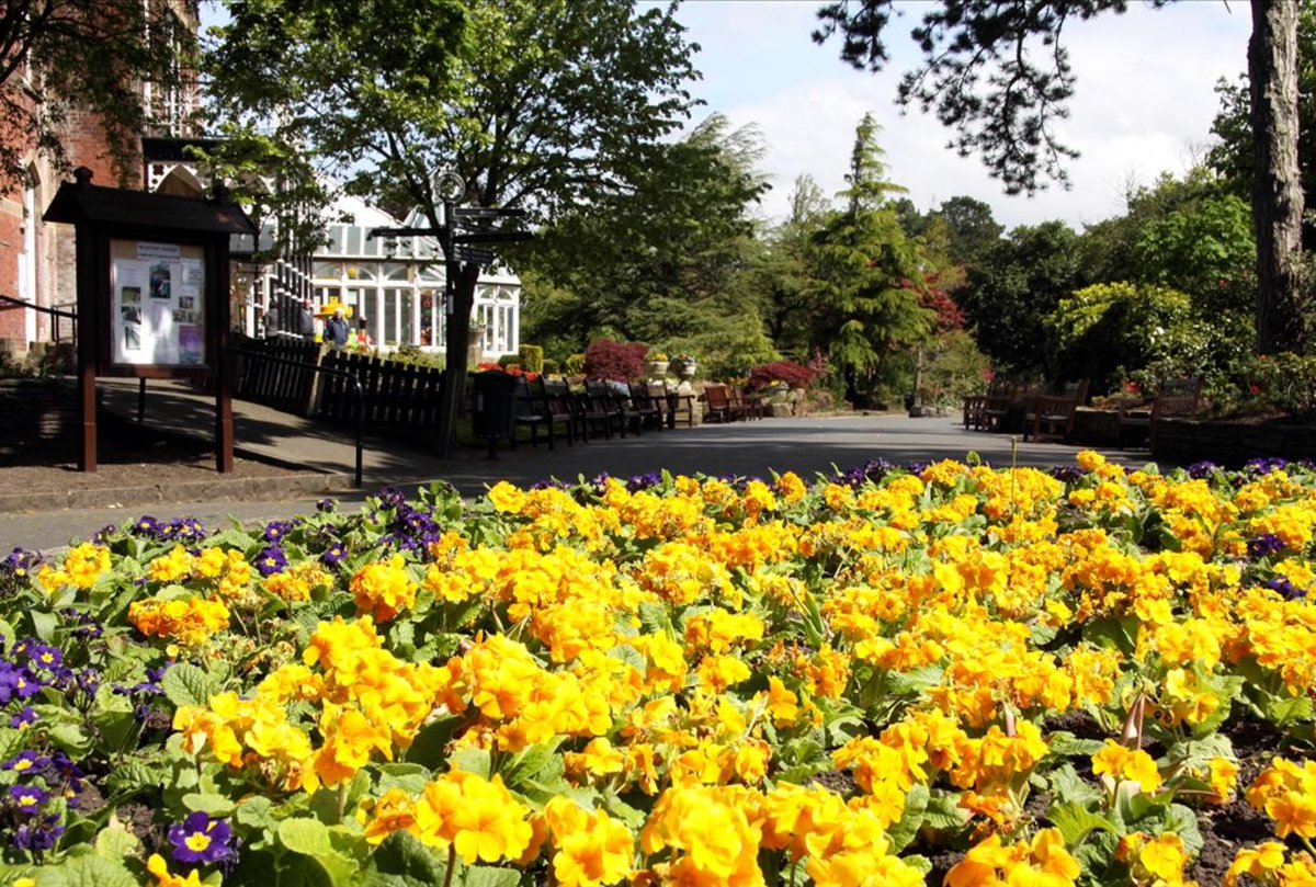 LiverpoolTIC's tweet image. Whether you're a local or a visitor, take time out this Summer and discover Southport’s secret garden 🌺

Botanic Gardens in Churchtown = the perfect peaceful day out 🌞

visitsouthport.com/listing/botani…

#AugustAdventures
@visitsouthport | @seftoncouncil