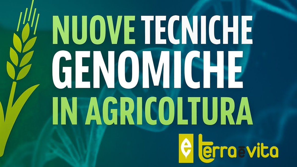 Assosementi (@assosementi) on Twitter photo Su Edagricole, <a href="/SilvioSalvi2/">Silvio Salvi</a>, presidente di <a href="/SigaCommunity/">SIGA - Società Italiana di Genetica Agraria</a>, chiarisce il meccanismo delle #TEA, i benefici che possono garantire e la situazione normativa in Italia e in Europa.
youtube.com/watch?v=nx4SYw… Su Edagricole, <a href="/SilvioSalvi2/">Silvio Salvi</a>, presidente di <a href="/SigaCommunity/">SIGA - Società Italiana di Genetica Agraria</a>, chiarisce il meccanismo delle #TEA, i benefici che possono garantire e la situazione normativa in Italia e in Europa.
youtube.com/watch?v=nx4SYw…