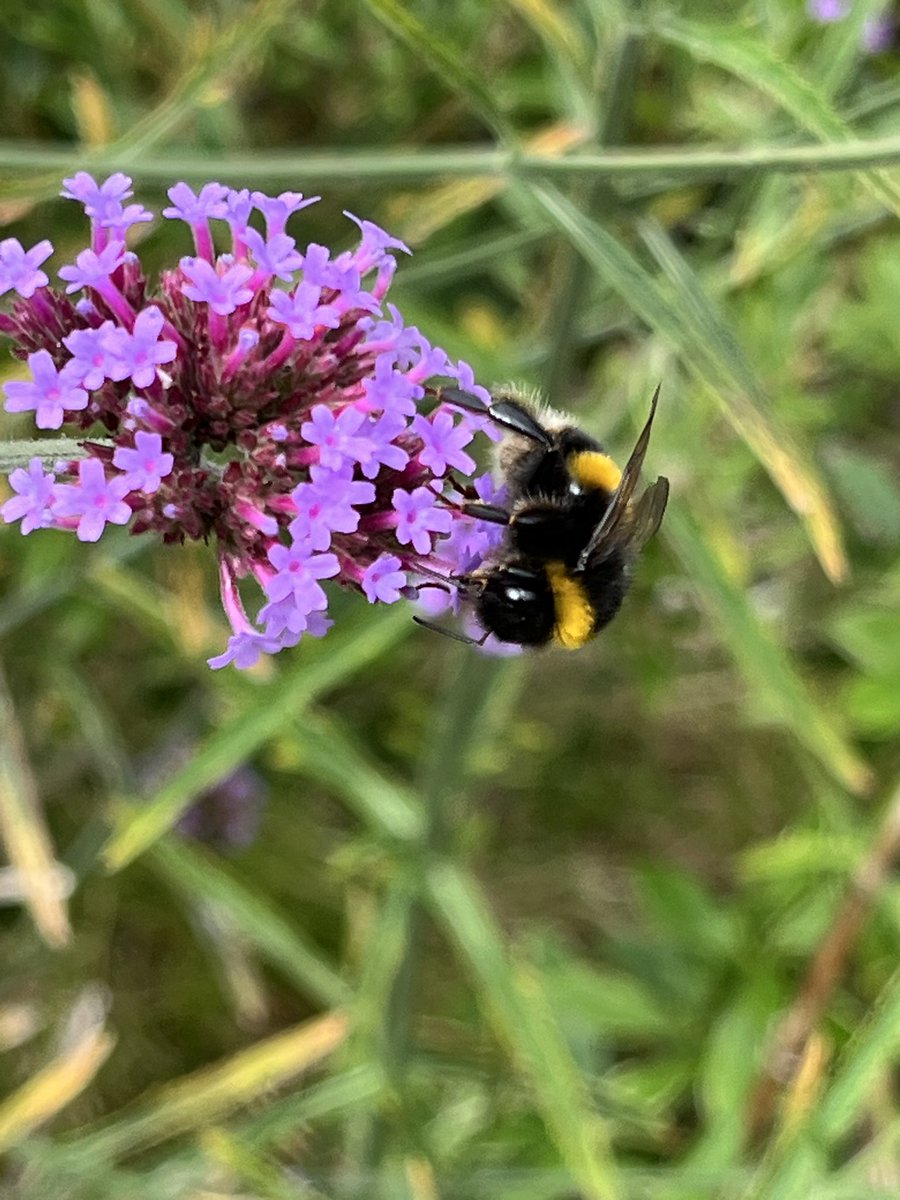 Must Visit ↘️ tweet media