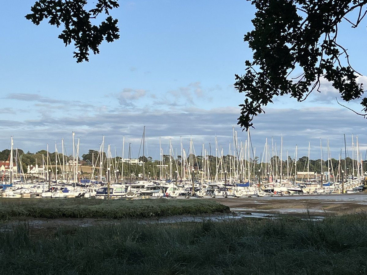 Must Visit ↘️ tweet media