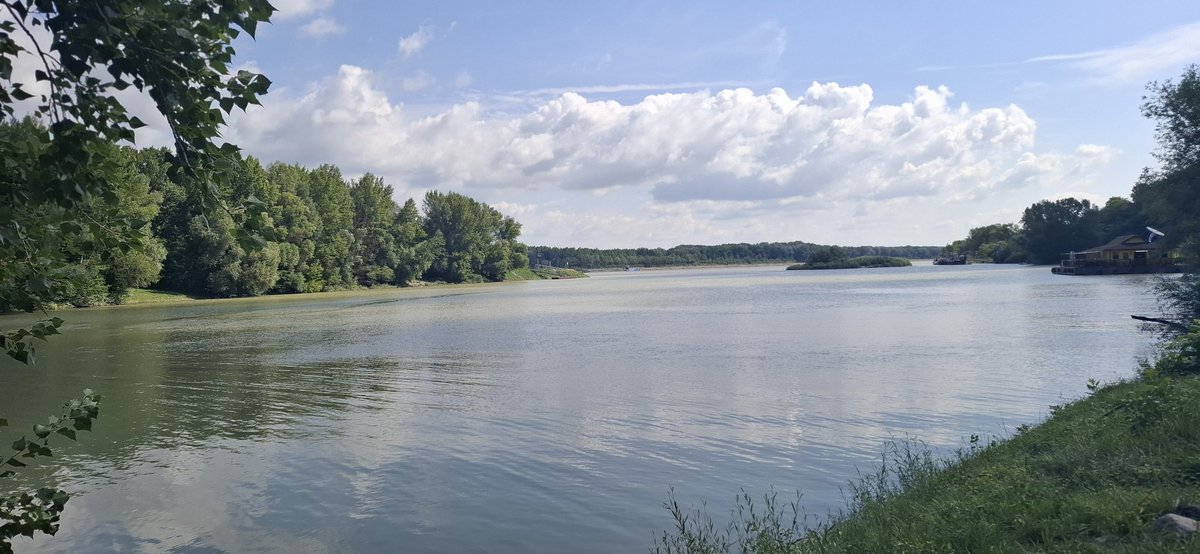 Puettmann_Bonn's tweet photo. Heute Wanderung und Bad am Alten Donauarm bei Burg #Greiffenstein vor Wien. https://t.co/JDeRq3Fom2