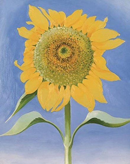 Georgia O'Keeffe, Sunflower New Mexico, 1935 #WomensArt 
In folklore the sunflower is considered a flower of loyalty because each day it turns its head to loyally follow the sun, from east to west 🌞 #FolkloreThursday
