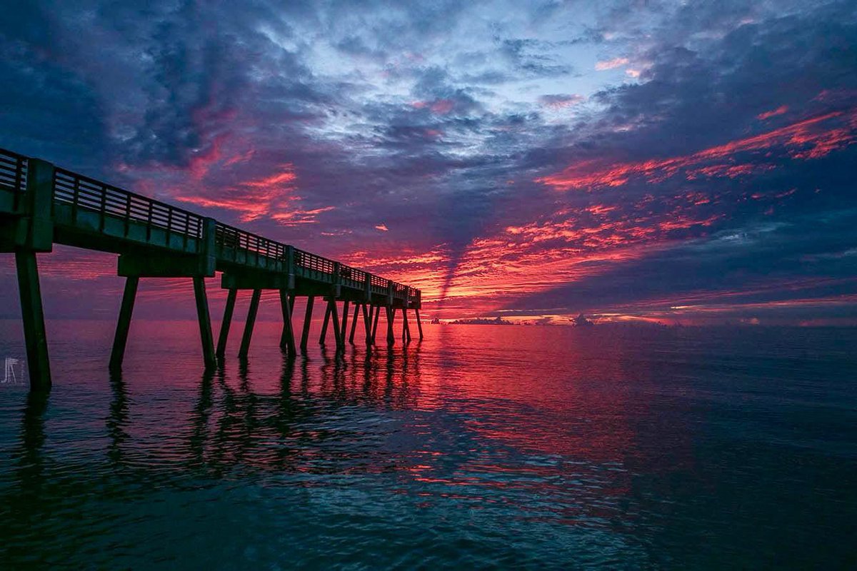 julie k. brown (@jkbjournalist) on Twitter photo Good morning. (Photo by Joe Rimkus) Good morning. (Photo by Joe Rimkus)