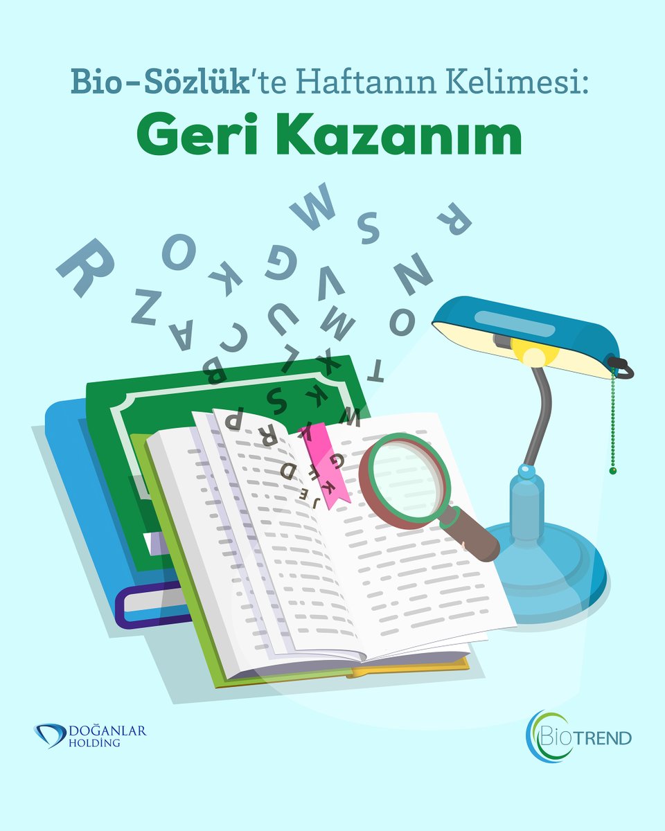 Atıkların yeniden işlenerek ham maddeye, ürüne veya enerjiye dönüştürülmesi süreci olan geri kazanım yeşil bir geleceğe yatırım yapmanın anahtarı.
Biotrend olarak, organik atıkları sadece bertaraf edilecek yük değil, dönüştürülecek kaynak olarak görüyoruz. Gıda atıklarından