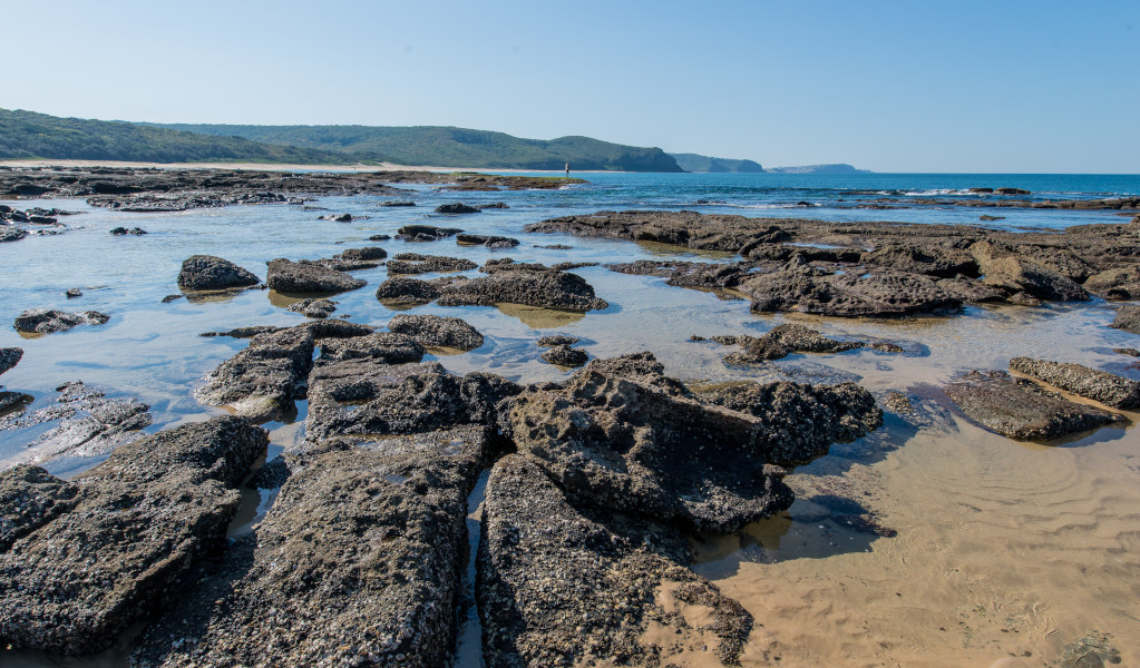 Have a good summer! We will be out of office from 
1th to 24th of August. We’ve prepared several articles over the past few days that you can check out on our website: geologica-acta.site