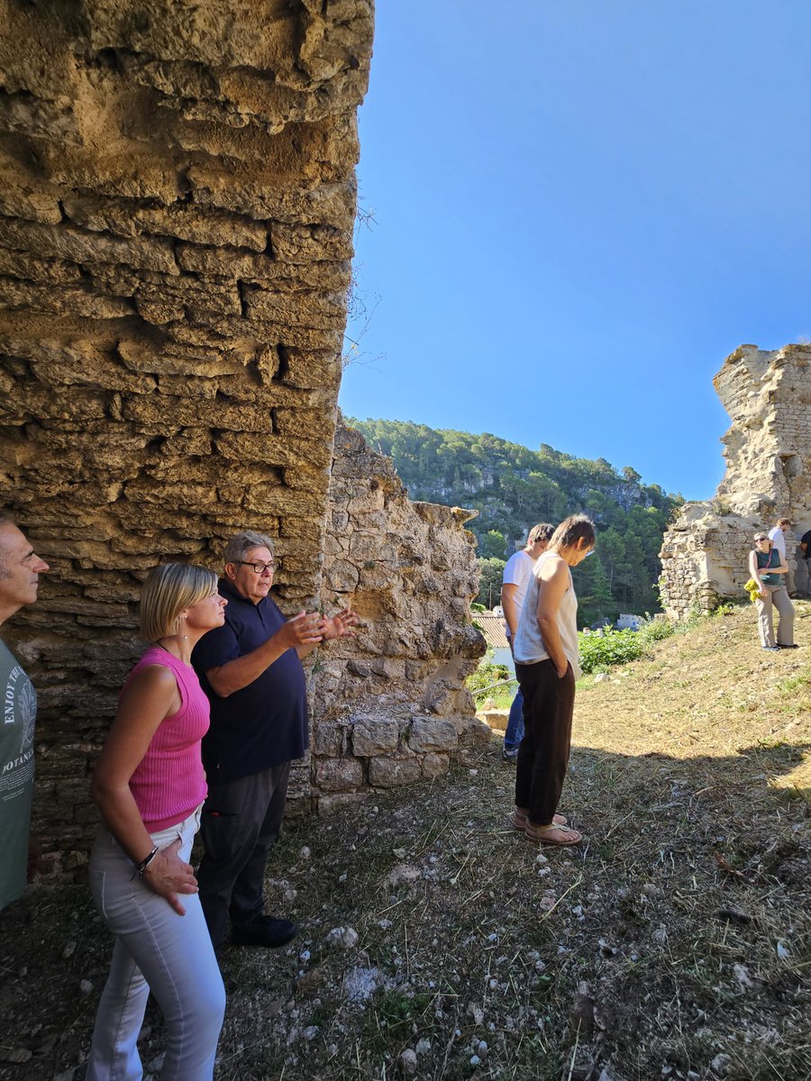 "A la <a href="/Dipta_cat/">Diputació de Tarragona</a> estem compromesos amb el patrimoni històric i cultural dels nostres pobles. La recuperació i consolidació del castell de #Querol n'és un exemple, perquè recuperem  patrimoni, però també història i identitat de país", ha destacat la presidenta <a href="/nllaurado/">Noemí Llauradó Sans</a>