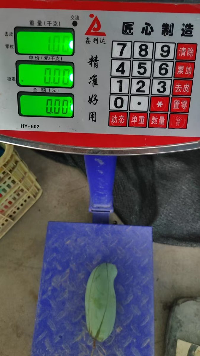 调侃了一下老板，马上现场称重……今天的桂七单果有1斤，10斤装的也只有12个……有下单的老师吗？