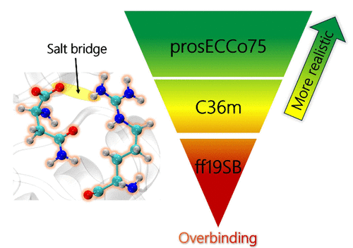 IOCBPrague's tweet image. #research #NMR #moleculardynamics #proteins

NMR-Derived Salt Bridges in Insulin Analogue: Resolving Artifactual Overbinding in Molecular Dynamics via Charge Scaling (Le Nguyen, Žák, Jungwirth, Lepšík) – J. Phys. Chem. Lett.: doi.org/10.1021/acs.jp…

@IOCBPrague @CzechAcademy