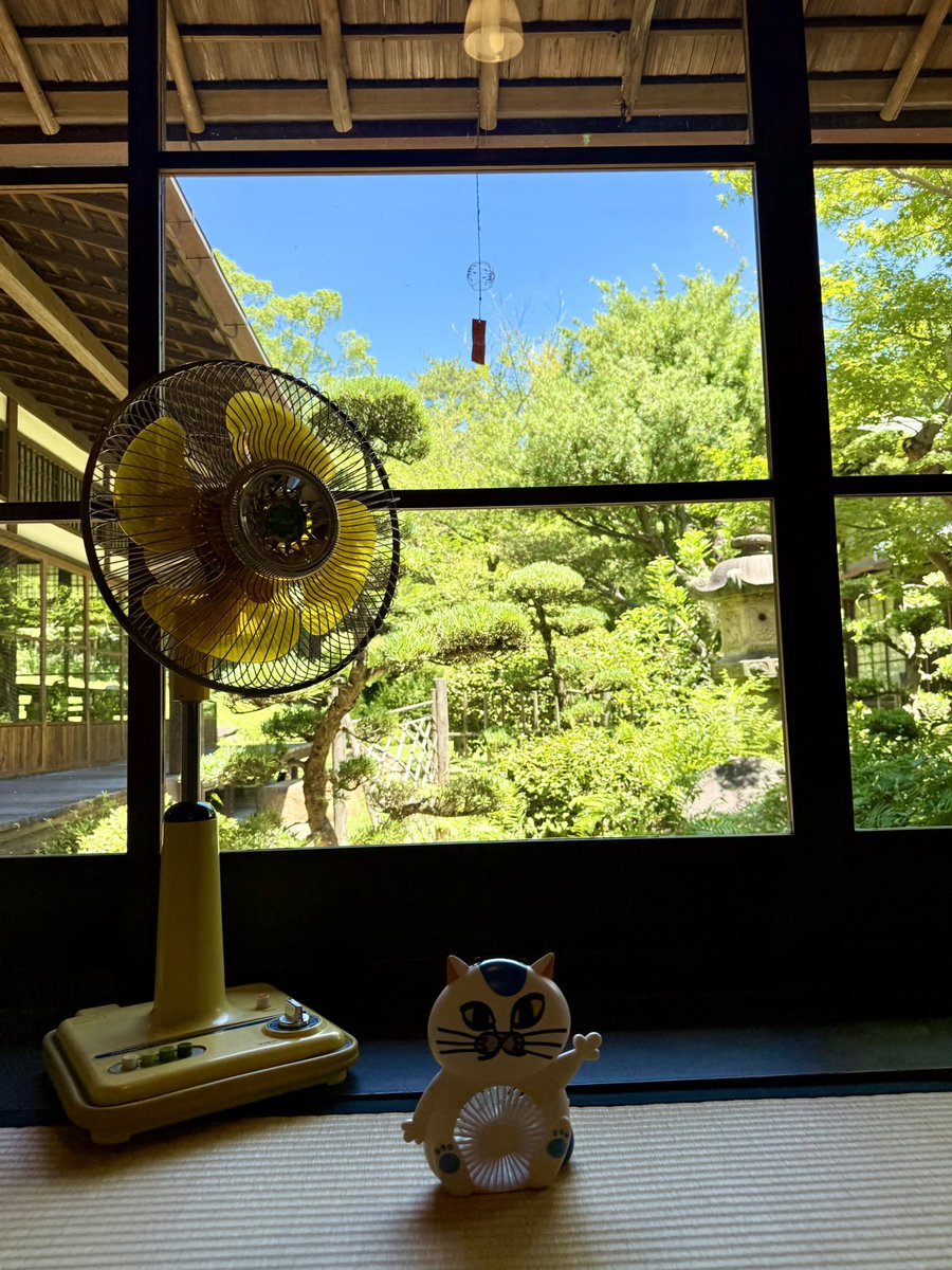 かねごん img20230617193909485779.png?v=