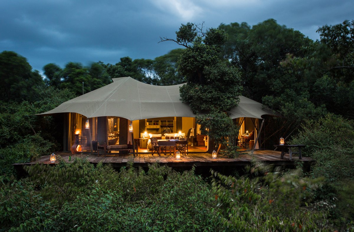 Secrets VIP Luxury Safaris & Travel (@secretsvips) on Twitter photo ๐ฆ ๐๐ฅ๐๐๐๐๐ก๐: ๐ก๐ฒ๐ ๐น๐๐
๐๐ฟ๐ ๐๐ฎ๐ณ๐ฎ๐ฟ๐ถ ๐ฑ๐ฒ๐๐๐ถ๐ป๐ฎ๐๐ถ๐ผ๐ป ๐ฎ๐น๐ฒ๐ฟ๐!
Introducing Great Plains Conservancy's Mara Plains Camp - where Africa's highest big cat concentration meets Relais & Chรขteaux luxury.
Thread ๐งต #LuxurySafarisMasaiMara #SafariToKenya ๐ฆ ๐๐ฅ๐๐๐๐๐ก๐: ๐ก๐ฒ๐ ๐น๐๐
๐๐ฟ๐ ๐๐ฎ๐ณ๐ฎ๐ฟ๐ถ ๐ฑ๐ฒ๐๐๐ถ๐ป๐ฎ๐๐ถ๐ผ๐ป ๐ฎ๐น๐ฒ๐ฟ๐!
Introducing Great Plains Conservancy's Mara Plains Camp - where Africa's highest big cat concentration meets Relais & Chรขteaux luxury.
Thread ๐งต #LuxurySafarisMasaiMara #SafariToKenya