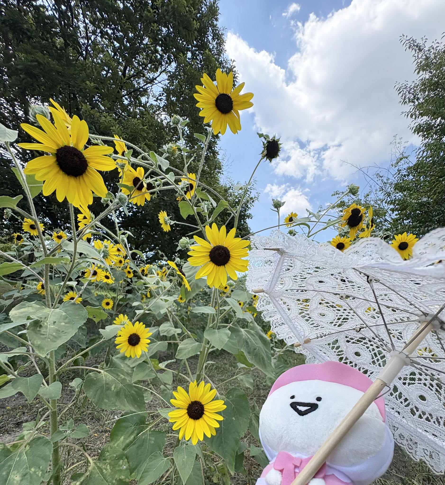 Yuu.オーダーページ•*¨*•.¸¸♬ ユウ (@yuu_5215) / X