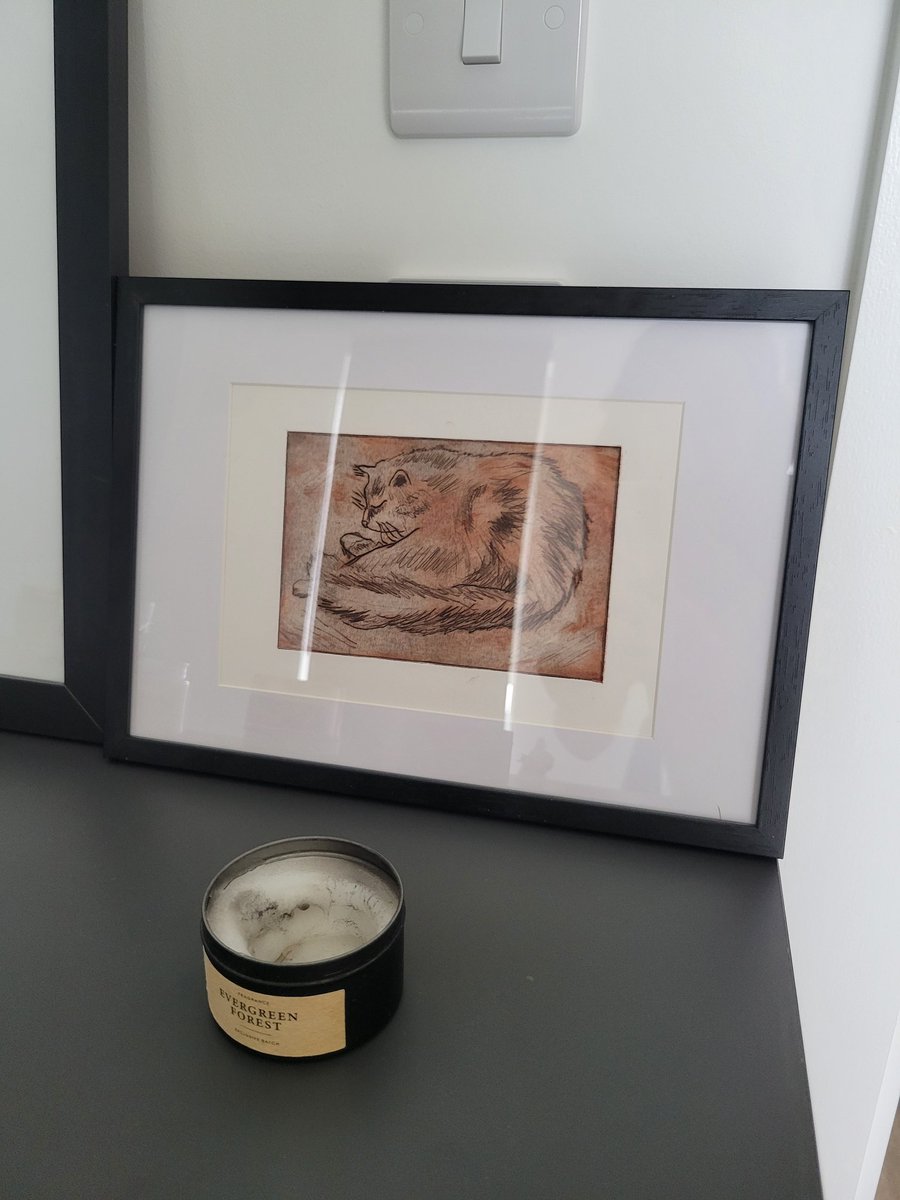 I'm framed now! Is everyone coming to the house can appreciate my beauty now 😹