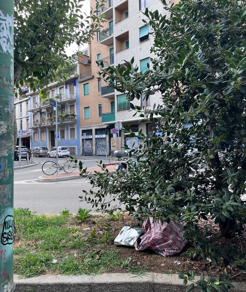 Mi-Tomorrow tweet media